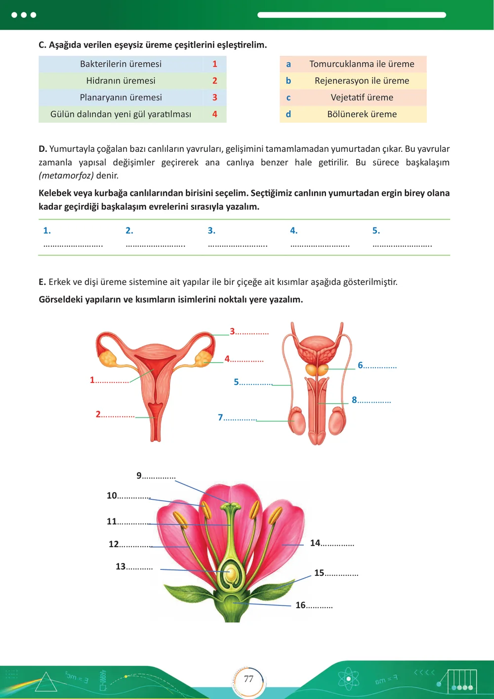 6. sınıf kitabından: Etkinlik Sayfası